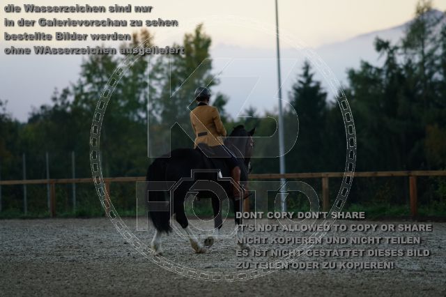 s_K3F09207.JPG